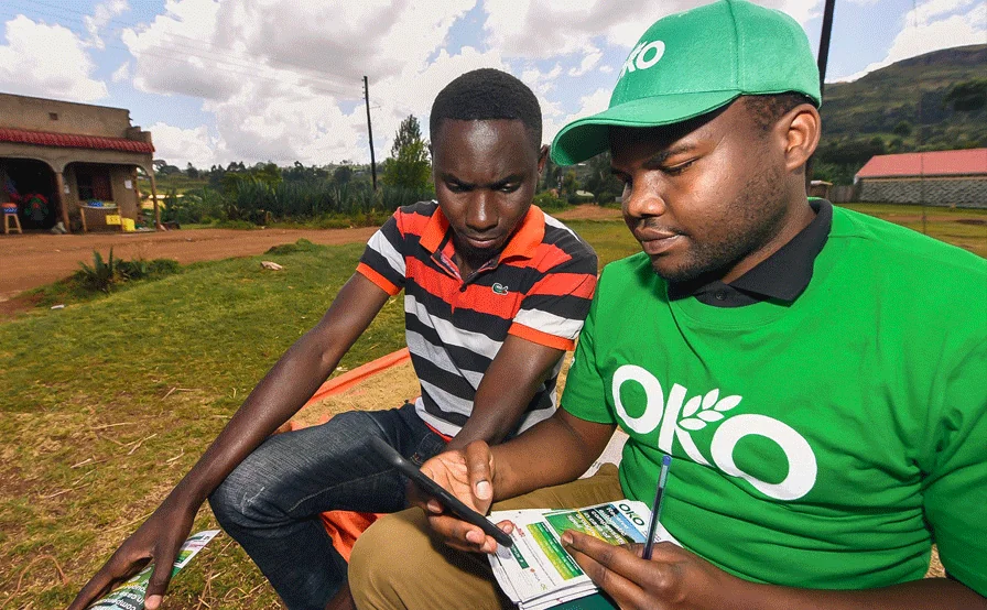 Baobab and OKO join forces to support farmers in Mali !