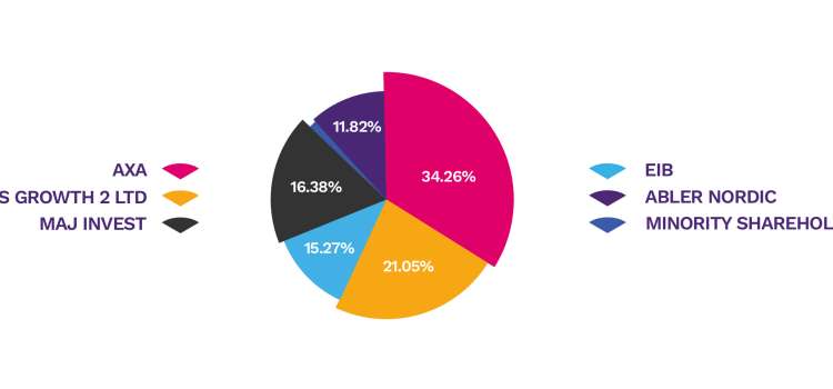 Shareholding Structure EN